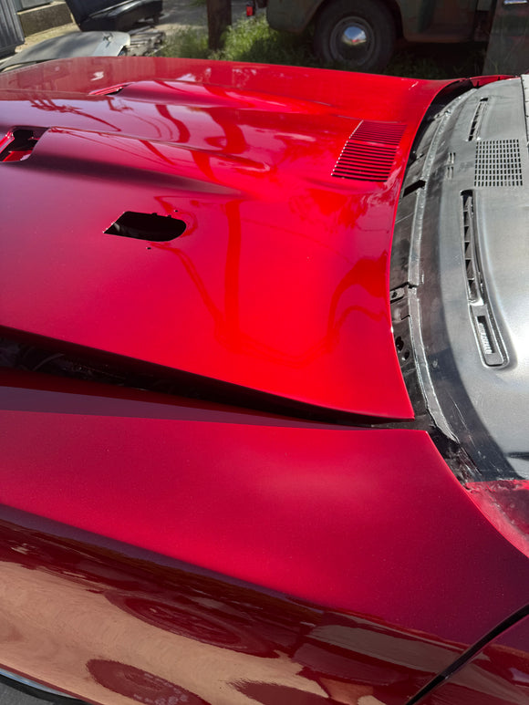 Candied 🍎 Apple Red 🍎 Candy  REVOLUTIONARY COLORS