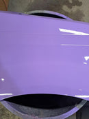 Lilac’N This Lavender Revolutionary Colors-6