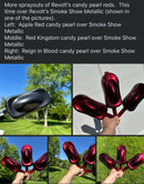 Smoke 💨 Show Metallic Revolutionary Colors-4