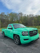 Phuck the GovernMint Pearl Revolutionary Colors-3