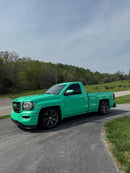 Phuck the GovernMint Pearl Revolutionary Colors-5