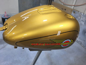 🤘🏻 GOLDFINGER METALLIC 🤘🏻REVOLUTIONARY COLORS