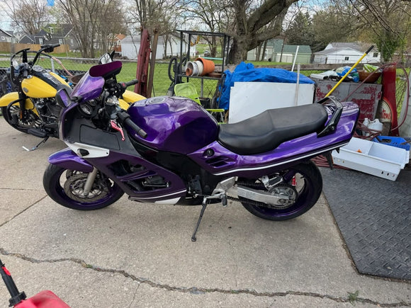 Purple Rain Pearl         Revolutionary Colors