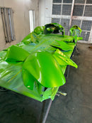 Slimer Green Pearl Revolutionary Colors-16