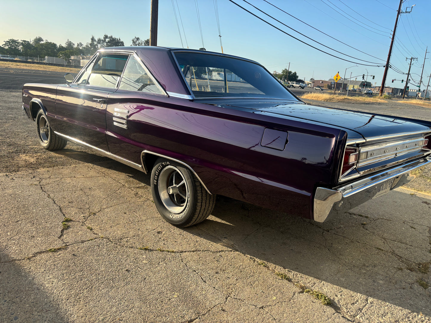 Purple Drank Candy Pearl REVOLUTIONARY COLORS