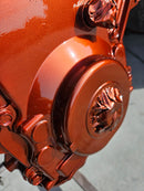 ☀️Sunshine☀️ Orange Candy Pearl REVOLUTIONARY COLORS-12