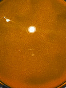 ☀️ SunDayzer Pearl Revolutionary Colors ☀️-4