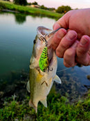 RC-357-15 THE FLASH 15 Minute Cured clear MIX 1:1-5