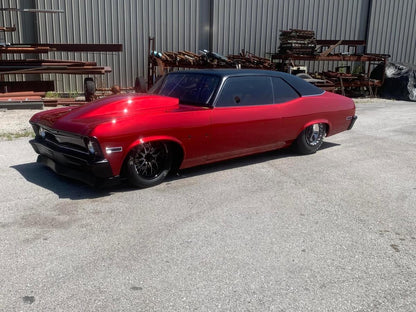 Red Rocket Pearl Revolutionary Colors