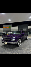 Purple Rain Pearl         Revolutionary Colors-29