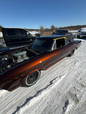 ROOTBEER VELVET CANDY PEARL REVOLUTIONARY COLORS - 0