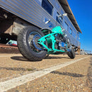 Phuck the GovernMint Pearl Revolutionary Colors-16