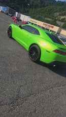 Slimer Green Pearl Revolutionary Colors-7