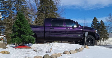 MIDNIGHT VIOLETTE PEARL REVOLUTIONARY COLORS - 0