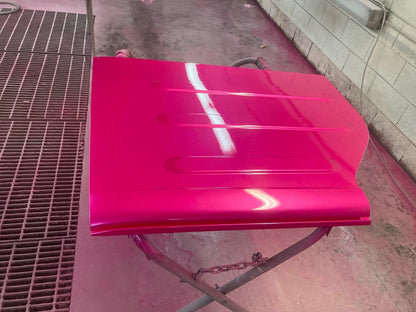RAZZLE DAZZLE PINK REVOLUTIONARY COLORS