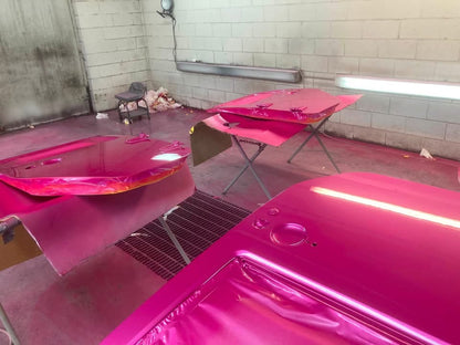 RAZZLE DAZZLE PINK REVOLUTIONARY COLORS
