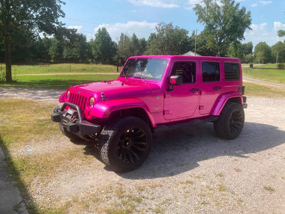 RAZZLE DAZZLE PINK REVOLUTIONARY COLORS