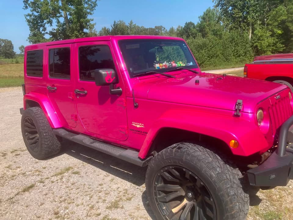RAZZLE DAZZLE PINK REVOLUTIONARY COLORS
