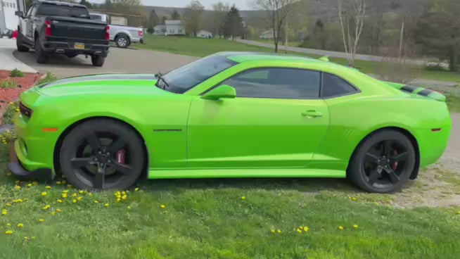 Slimer Green Pearl Revolutionary Colors-16