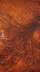 Cream Soda Candy Pearl Revolutionary Colors-3